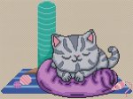 (image for) Sleepy Kitty